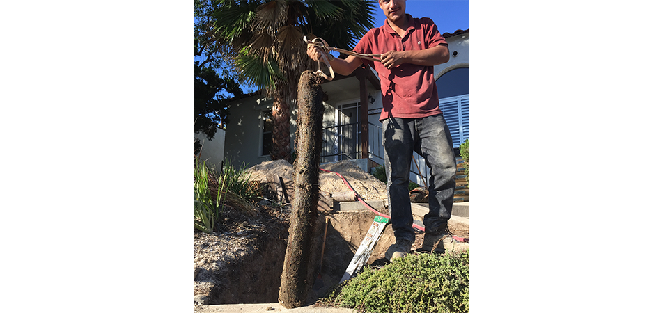 Twins Plumbing Rooting in Glendale